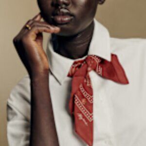 Sezane le Foulard Red Floral Scarf